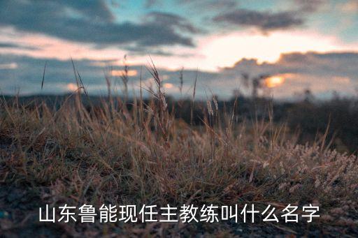 山東魯能現(xiàn)任主教練叫什么名字