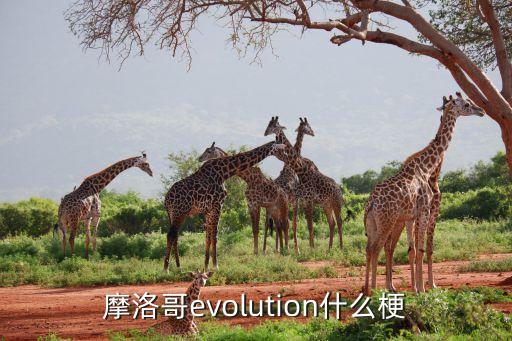 摩洛哥evolution什么梗