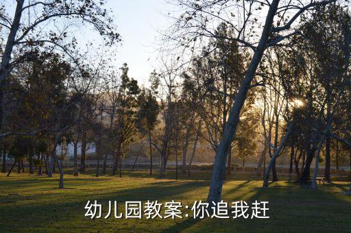  幼兒園教案:你追我趕