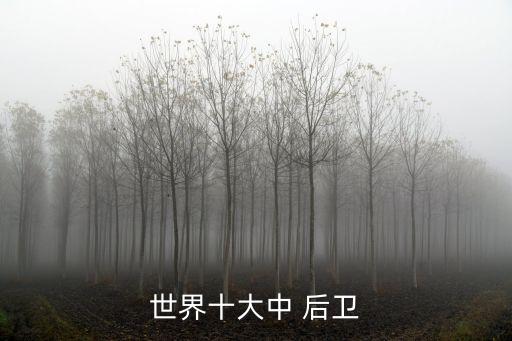 足球歷史上有名的后衛(wèi)