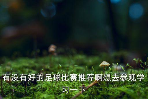 有沒有好的足球比賽推薦啊想去參觀學(xué)習(xí)一下