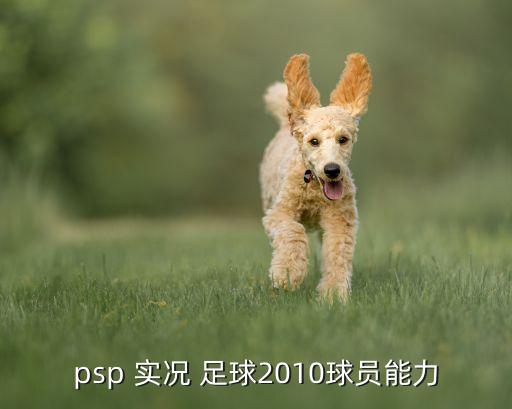 psp 實況 足球2010球員能力