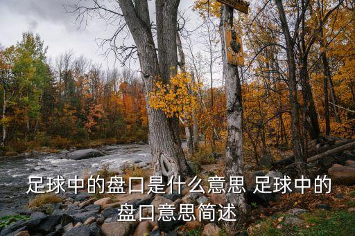  足球中的盤口是什么意思 足球中的盤口意思簡(jiǎn)述