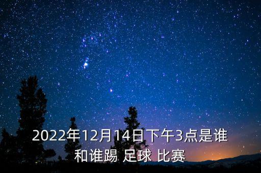 2022年12月14日下午3點是誰和誰踢 足球 比賽