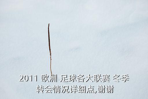 2011 歐洲 足球各大聯(lián)賽 冬季 轉(zhuǎn)會情況詳細(xì)點(diǎn),謝謝