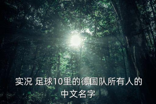  實(shí)況 足球10里的德國(guó)隊(duì)所有人的中文名字