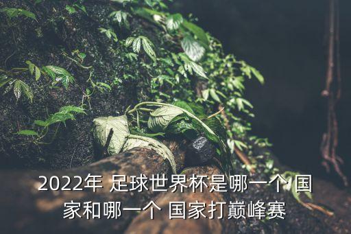 2022年 足球世界杯是哪一個(gè) 國(guó)家和哪一個(gè) 國(guó)家打巔峰賽