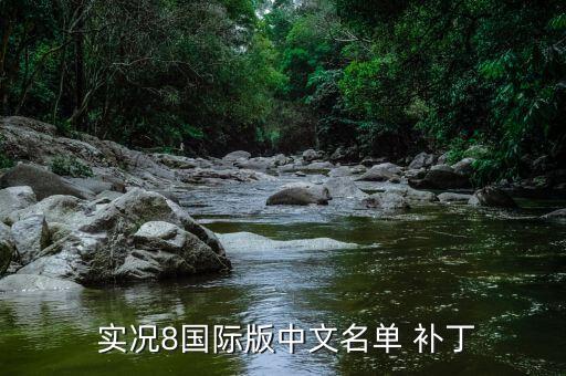  實(shí)況8國際版中文名單 補(bǔ)丁