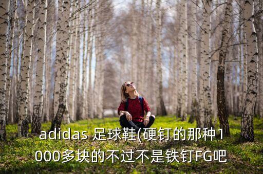 adidas 足球鞋(硬釘?shù)哪欠N1000多塊的不過(guò)不是鐵釘FG吧