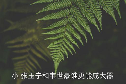 足球隊(duì)員小張玉寧,遼寧足球張玉寧現(xiàn)狀