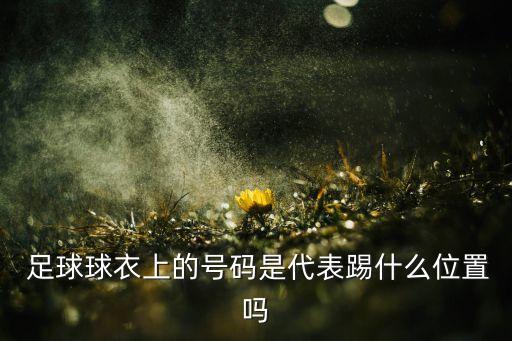  足球球衣上的號碼是代表踢什么位置嗎