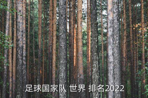  足球國(guó)家隊(duì) 世界 排名2022