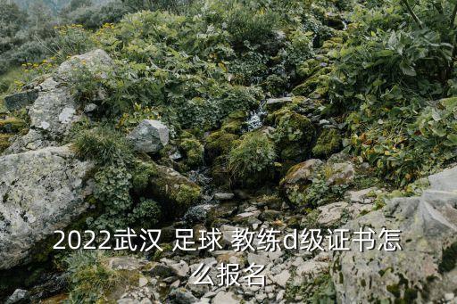 2022武漢 足球 教練d級證書怎么報(bào)名