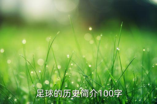  足球的歷史簡(jiǎn)介100字