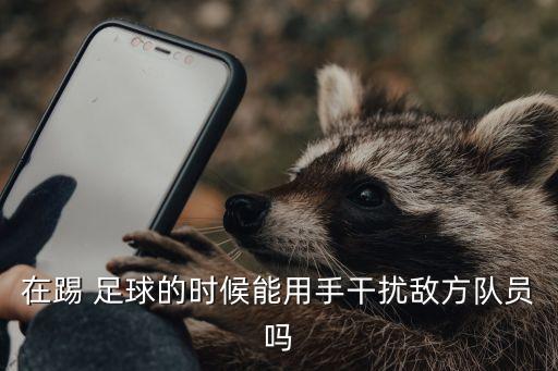 足球可以拉人嗎