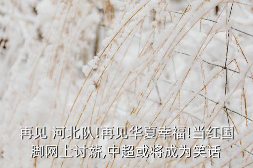 再見(jiàn) 河北隊(duì)!再見(jiàn)華夏幸福!當(dāng)紅國(guó)腳網(wǎng)上討薪,中超或?qū)⒊蔀樾υ? class=