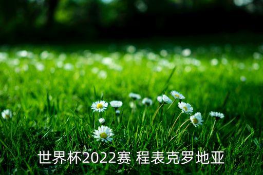 世界杯2022賽 程表克羅地亞