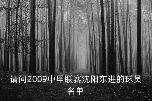 請問2009中甲聯(lián)賽沈陽東進的球員名單