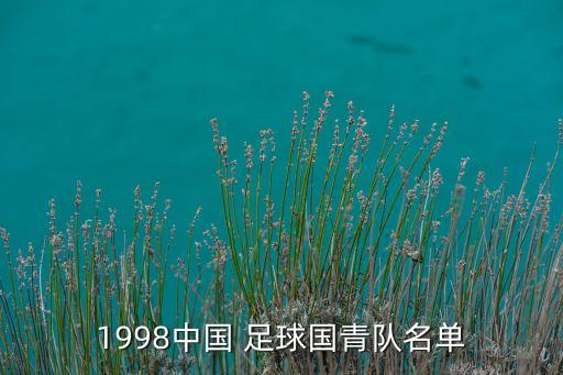 1998中國 足球國青隊名單