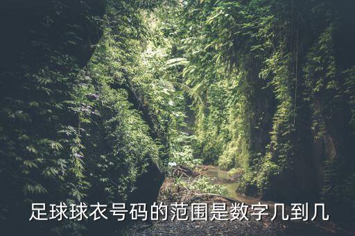  足球球衣號碼的范圍是數(shù)字幾到幾