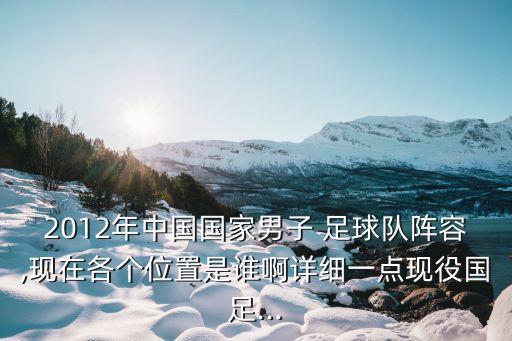 2012年中國(guó)國(guó)家男子 足球隊(duì)陣容,現(xiàn)在各個(gè)位置是誰(shuí)啊詳細(xì)一點(diǎn)現(xiàn)役國(guó)足...