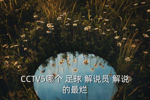 CCTV5哪個 足球 解說員 解說的最爛