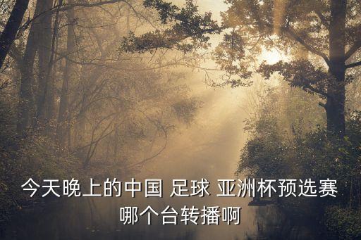 今天晚上的中國 足球 亞洲杯預(yù)選賽哪個臺轉(zhuǎn)播啊