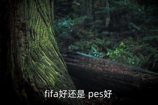 fifa好還是 pes好