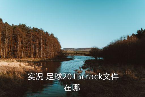  實況 足球2015crack文件在哪