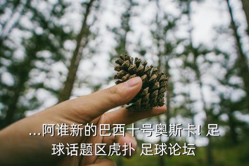 ...阿誰(shuí)新的巴西十號(hào)奧斯卡! 足球話題區(qū)虎撲 足球論壇