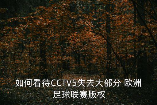 如何看待CCTV5失去大部分 歐洲 足球聯(lián)賽版權(quán)