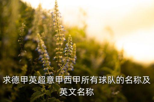 求德甲英超意甲西甲所有球隊(duì)的名稱及英文名稱