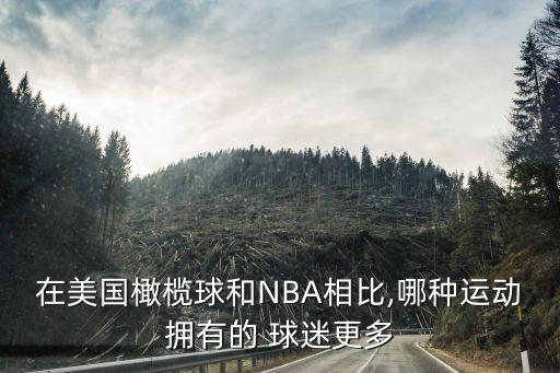 在美國橄欖球和NBA相比,哪種運動擁有的 球迷更多