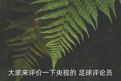 大家來(lái)評(píng)價(jià)一下央視的 足球評(píng)論員