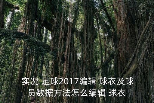  實況 足球2017編輯 球衣及球員數(shù)據(jù)方法怎么編輯 球衣