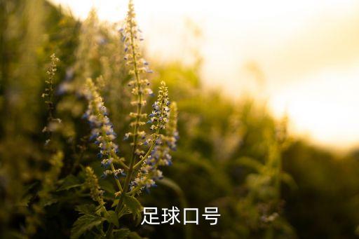 足球政治標語 0比3