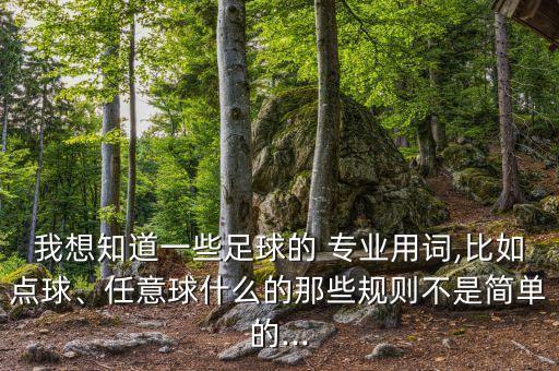 我想知道一些足球的 專業(yè)用詞,比如點(diǎn)球、任意球什么的那些規(guī)則不是簡(jiǎn)單的...