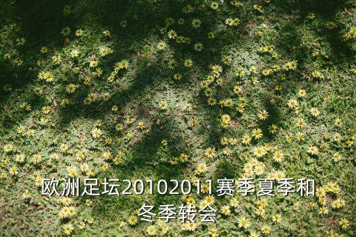 歐洲足壇20102011賽季夏季和冬季轉會