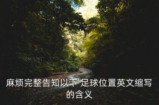 足球dm什么意思,dm什么意思網(wǎng)絡流行語