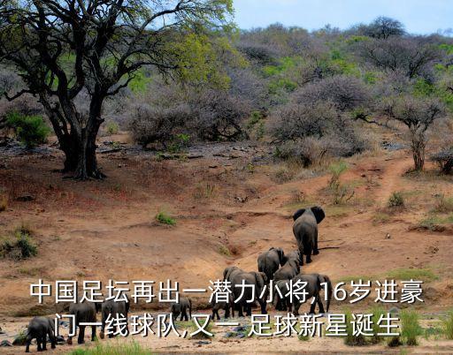 足球年齡最小的,以下哪位足球運動員年齡最小