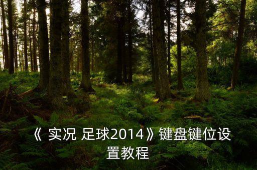 《 實況 足球2014》鍵盤鍵位設置教程