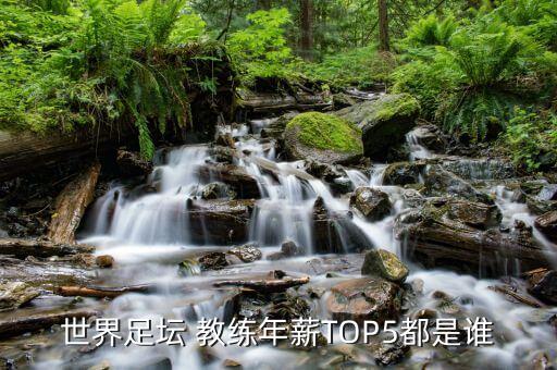 世界足壇 教練年薪TOP5都是誰