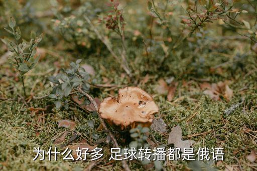 為什么好多 足球轉(zhuǎn)播都是俄語