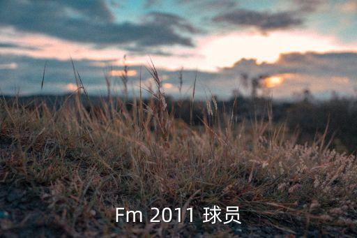 Fm 2011 球員