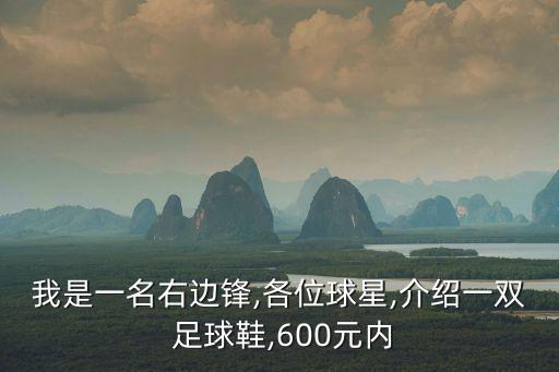 我是一名右邊鋒,各位球星,介紹一雙 足球鞋,600元內(nèi)