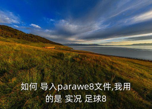 如何 導(dǎo)入parawe8文件,我用的是 實(shí)況 足球8