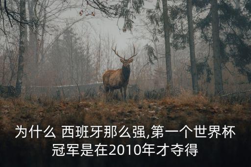 為什么 西班牙那么強,第一個世界杯冠軍是在2010年才奪得