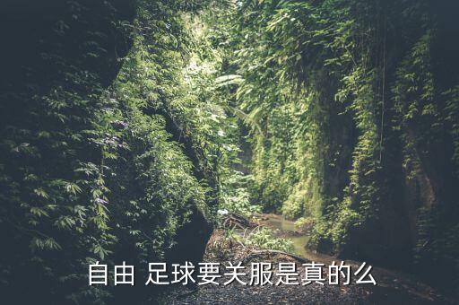  自由 足球要關(guān)服是真的么