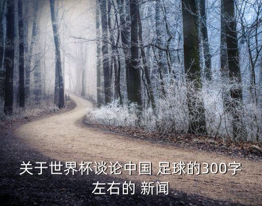 關于世界杯談論中國 足球的300字左右的 新聞