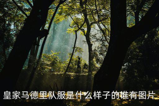 皇家馬德里隊(duì)服是什么樣子的誰(shuí)有圖片